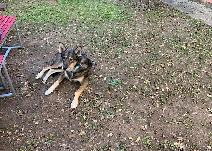 Poetto Κάλιαρι